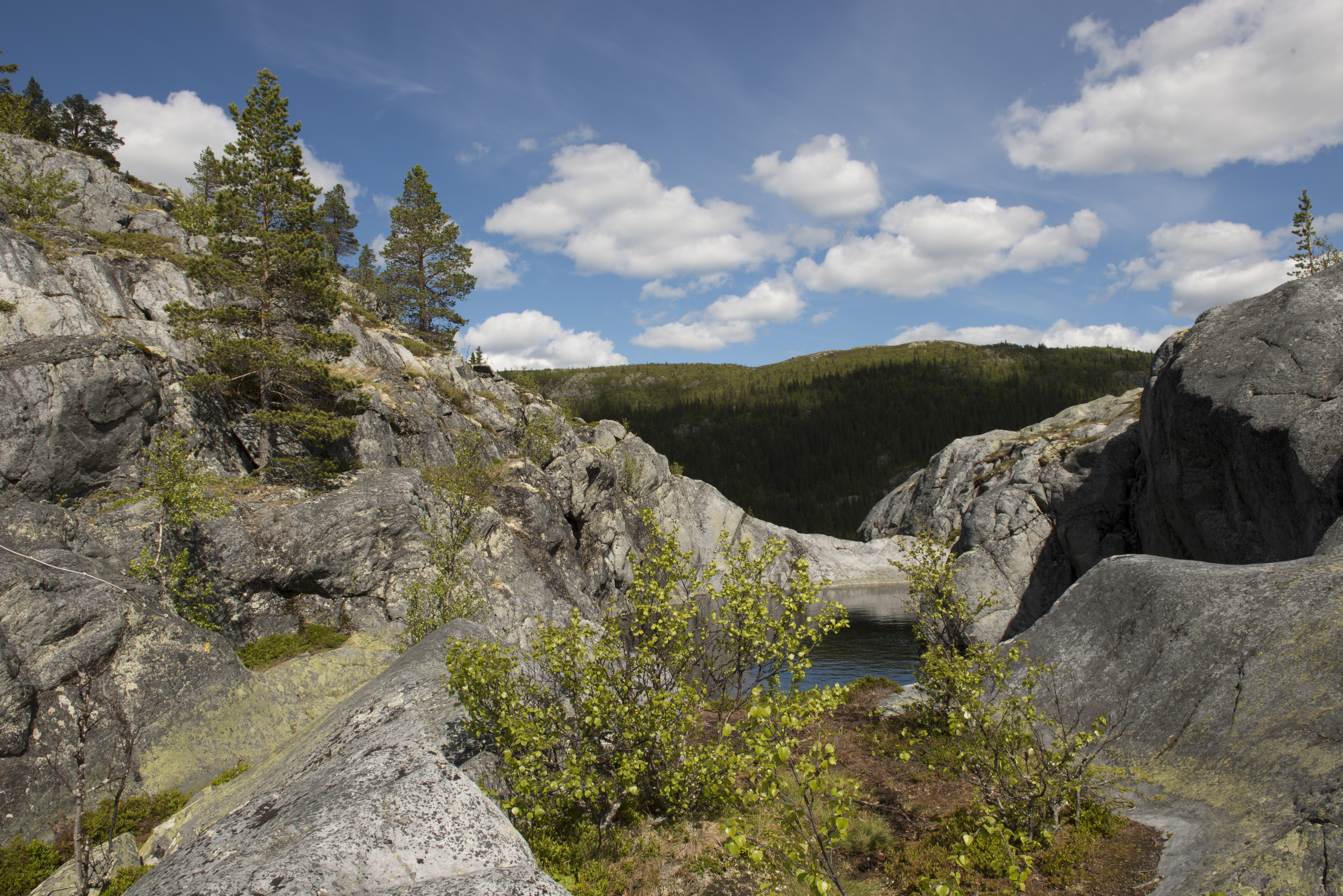 SØR AURDAL ENERGI AS